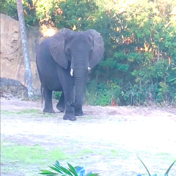 Meet your Posher, Jennifer - Picture 1 of 1